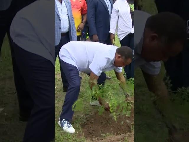 LE COUPLE PRÉSIDENTIEL DENIS SASSOU-N'GUESSO ET ANTOINETTE SASSOU-N'GUESSO PLANTE LES ARBRES #congo