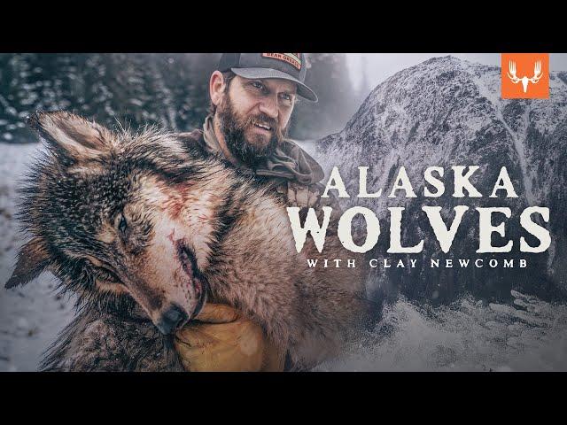 Alaska Wolf Management with Clay Newcomb