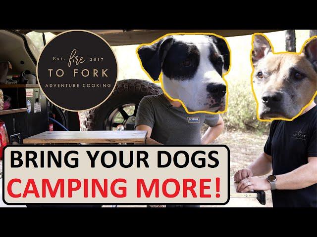 Camping with Dogs - Tips, Tricks and Advice from Dog Dads - Feat: Fire to Fork