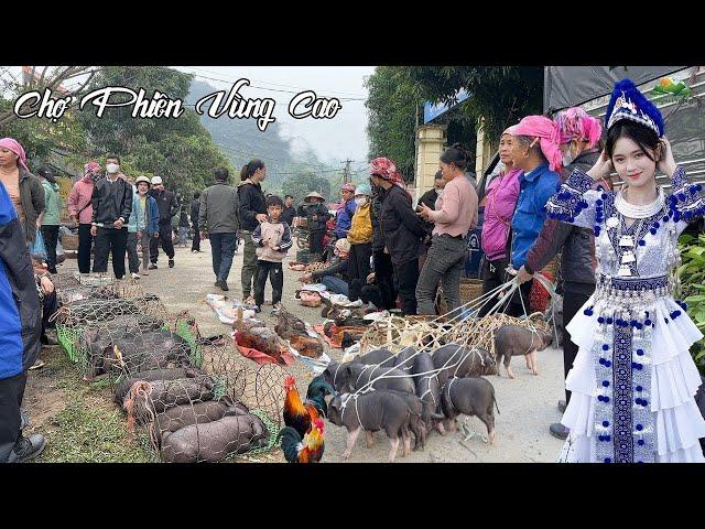 Chợ phiên miền núi tây bắc đông như trẩy hội - đồ rừng và dược liệu bày bán la liệt bất kể nắng mưa