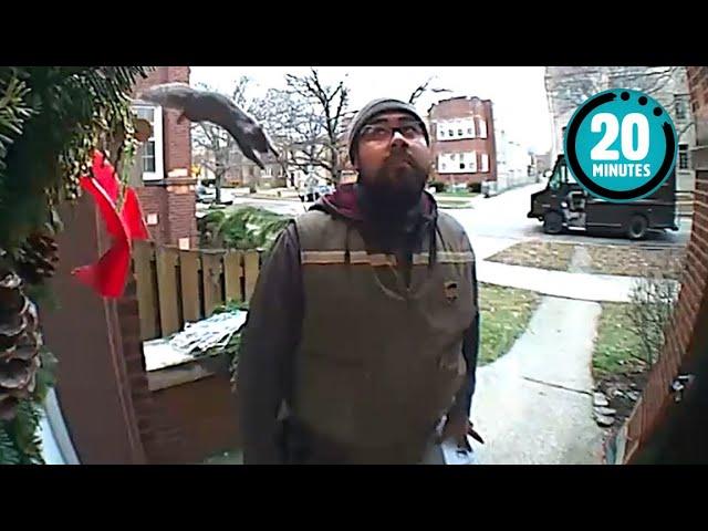 Squirrel STUNS Delivery Driver  | FUNNIEST Pets Caught On Camera