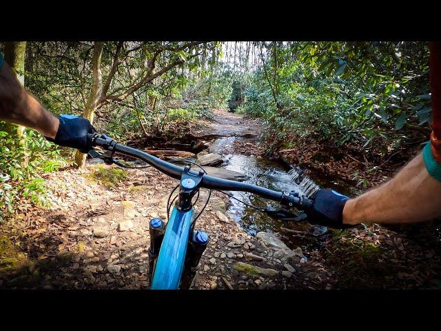 STILL the chunderflow epic ride of my dreams | Mountain Biking Avery & Bennet in Pisgah