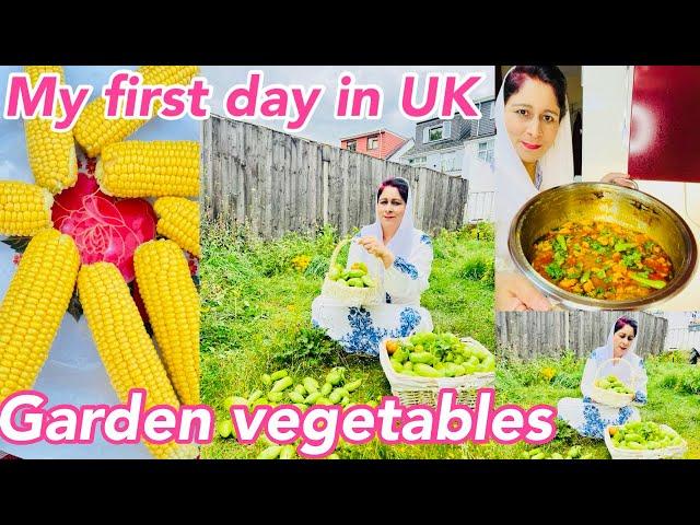 My First Day In England Coming Back From Pakistan Kashmir | Garden Vegetables Tomato & Sweet Corns