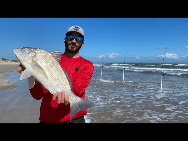 Live SHRIMP is key! Surf Fishing Corpus Christi TX