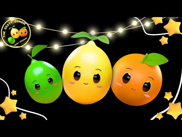 TZB Baby Sensory -  Meet The Zesty Bunch - Cute Fruits - Citrus Salsa Party!