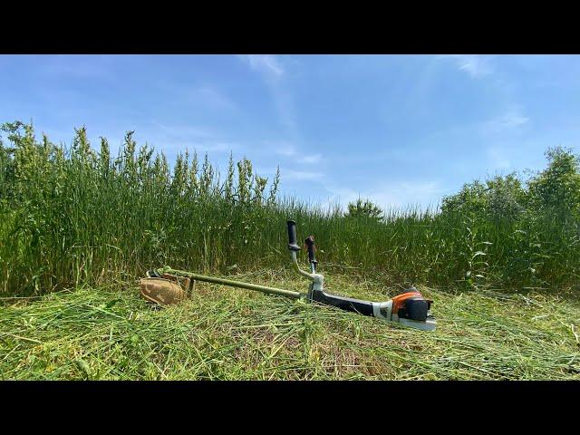 Cutting down really big grass with Stihl Fs 561-C and Husqvarna 545-RX with my father.