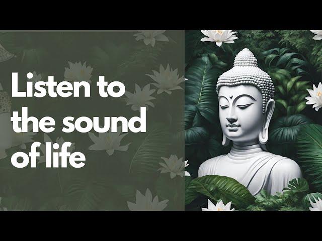 Increase Brain Power, Focus Music, Reduce Stress | 2 Hours natural sounds &  ambience | Relax Mantra