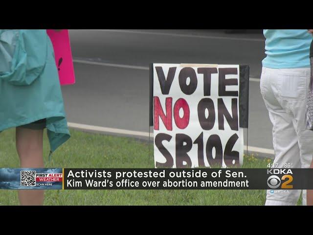 Activists protest outside of State Sen. Kim Ward's office