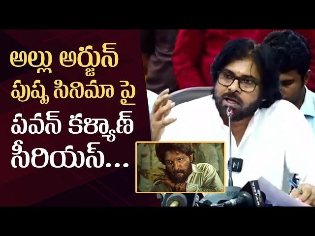 Deputy CM Pawan Kalyan Comments On Allu Arjun's Pushpa Movie | Manastars