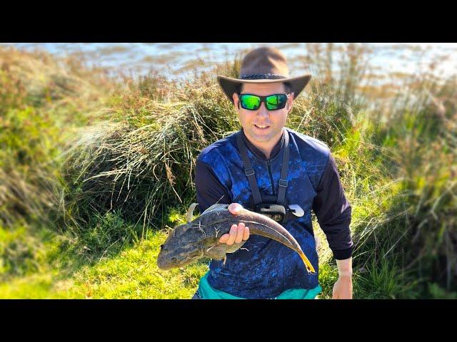 Massive 55cm Flathead! - Fishing Swan River, Burswood WA.