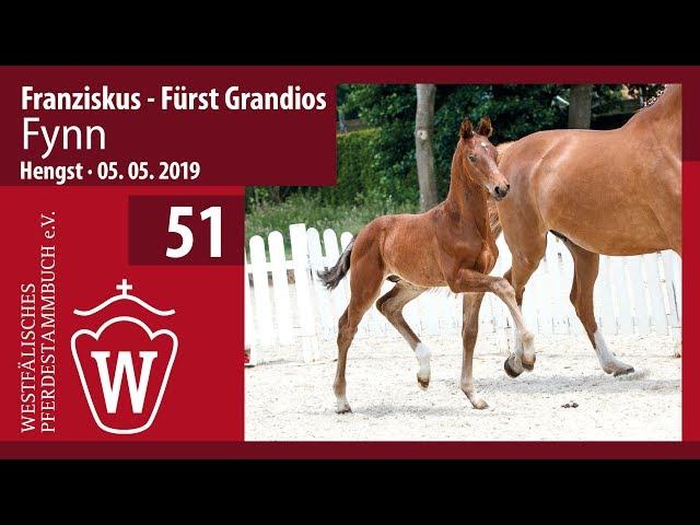 51 Fynn Hengst v. Franziskus - Fürst Grandios