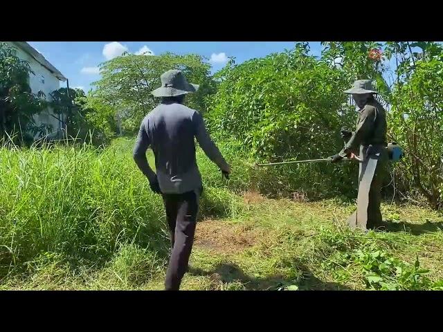 A Fresh Wind: Heroes Hung and Tinh Revitalize the Garden for an Elderly Couple