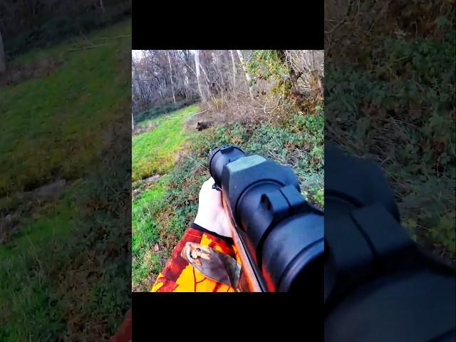 охота на кабана Захватывающий снимок #cinghiale #wildboar #охота на кабана #hunting #охота с луком
