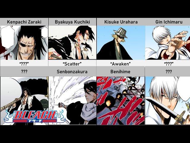 All Shinigami and Their Released Zanpakuto in Bleach Part 2/2 | QueueBurst Comparison