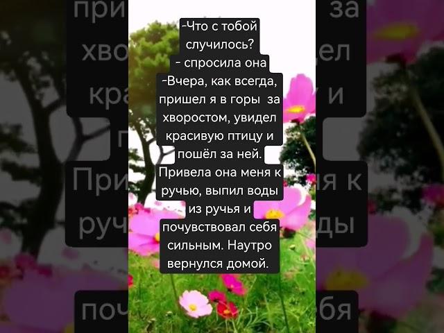 Сказка о Черезмерности.. #мудрость #сказки #анекдоты #жизнь #философия #молодость #энергия #притча