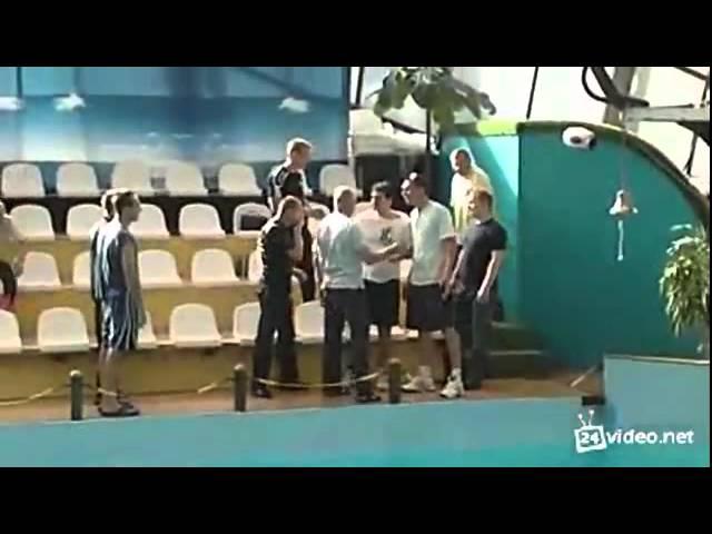 А , кто дельфин ?