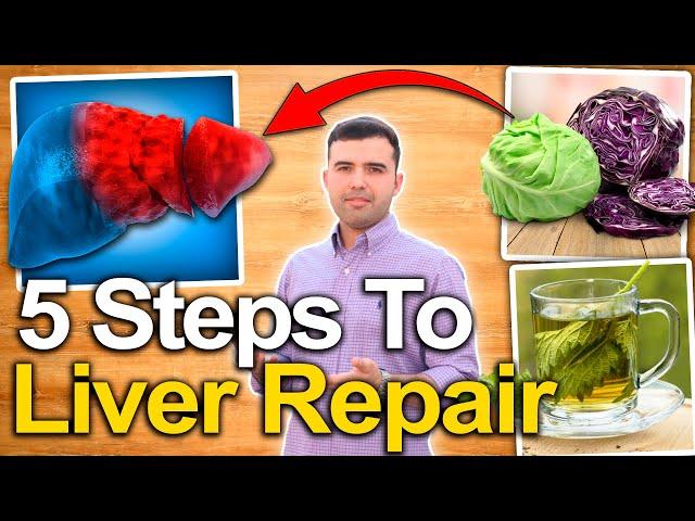 How To Repair Liver Damage From Alcohol and a Fatty Liver