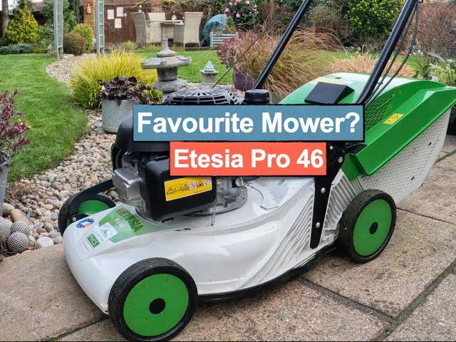 Etesia Pro 46 Lawn Mowing