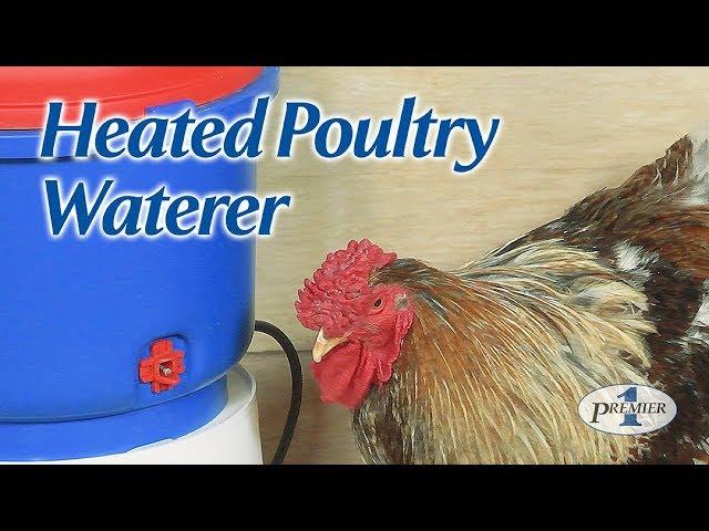 Heated Poultry Waterer