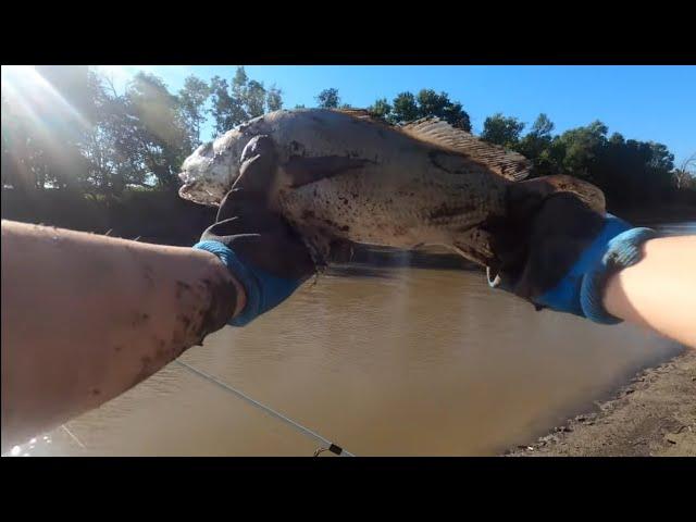 Red River Adventure With Otto