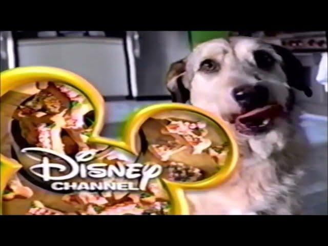 Disney Channel — Magic bumper: Dog Food (2002-2007)