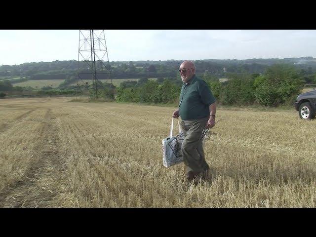 Pigeon shooting with an air rifle