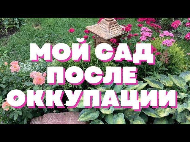 Мой сад после оккупации