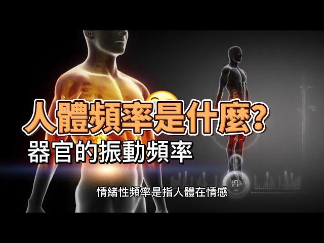 人體各種器官的共振頻率,人體的頻率是什麼？|神秘大探索