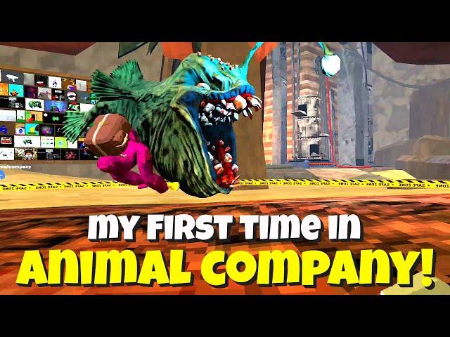 I Die A Lot! 1st Time in Animal Company with KingBrody, ElBeardedkid, & Smrf365