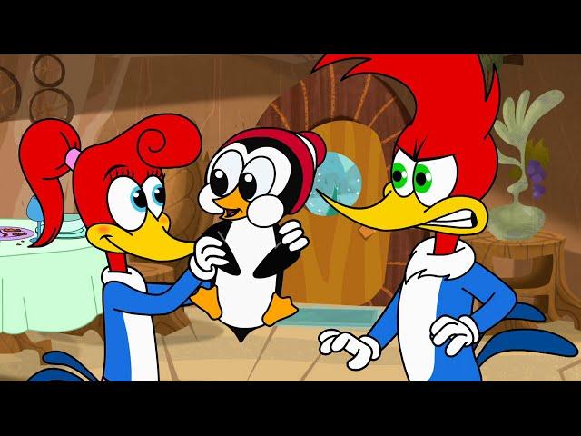 Woody's Date Crasher | Woody Woodpecker