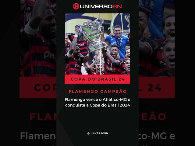 FLAMENGO CAMPEÃO DA CDB24 #flamengo #universorn #shorts