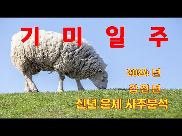 기미일주, 2024년 갑진년 신년운세 사주분석