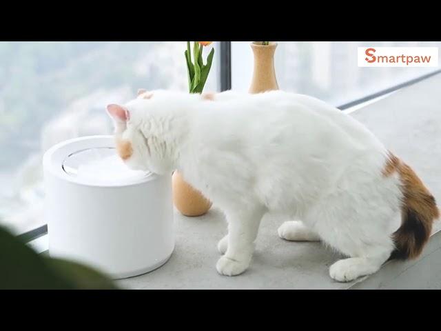 Petree Automatic Pet Water Fountain Dispenser [ Smartpaw Store ]