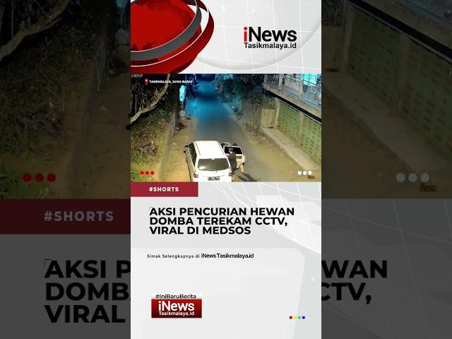 Aksi Pencurian Hewan Ternak Domba Terekam CCTV di Kawalu Kota Tasikmalaya