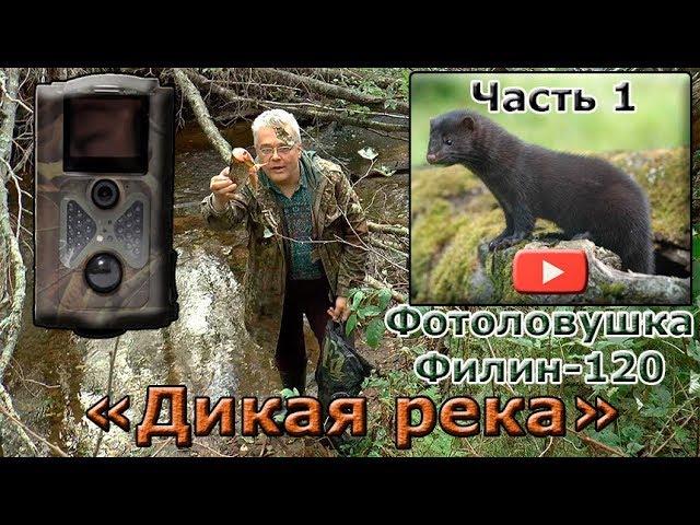 Installing a photo-trap Filin 120 / HC-550A. "Wild River". Part 1. "Jumping Mink".