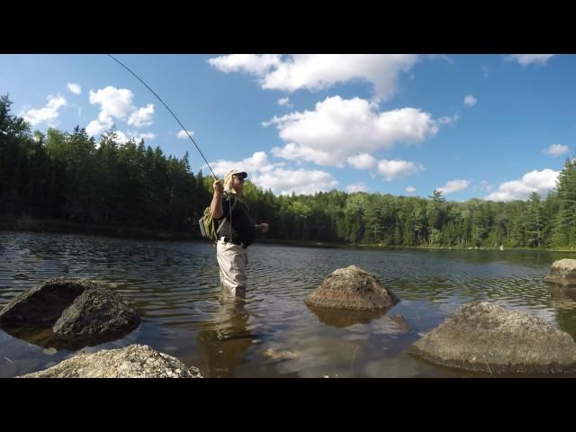 Fly Fishing in the Pemigewasset Wilderness