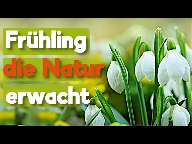 Der Frühling steht vor der Tür