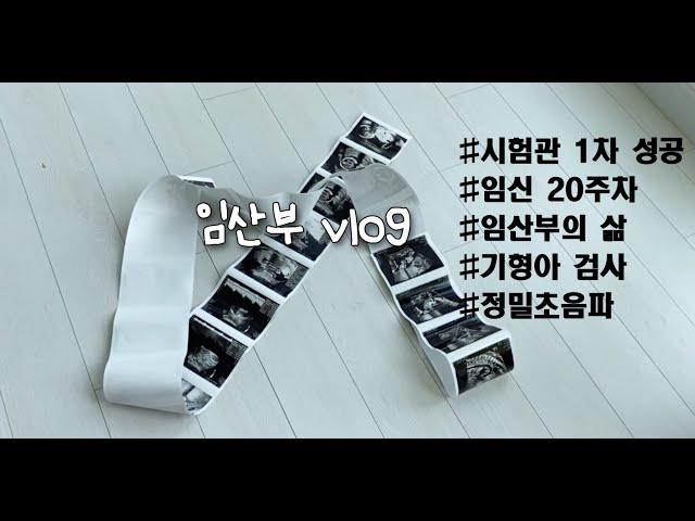 시험관 1차 성공, 임신 20주, 기형아검사, 정밀초음파, 임산부변비, 임산부영양제