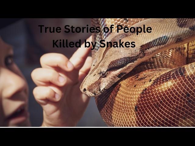 True Stories of People Killed by Snakes. Horrifying Deaths, These People Were Bitten and Died