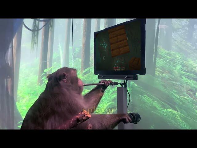 Neuralink Monke Plays Minecraft