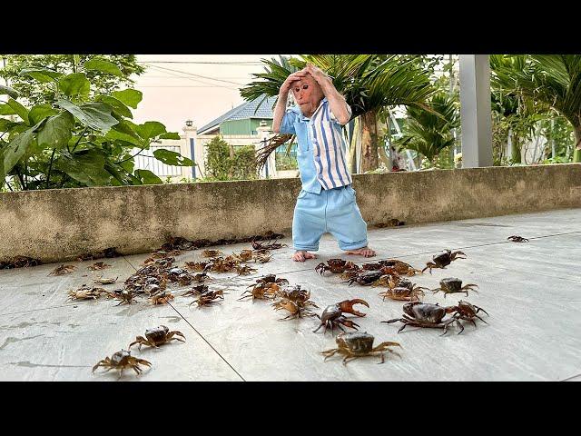 Bibi Was Curious and Panicked when He Saw The Crab!