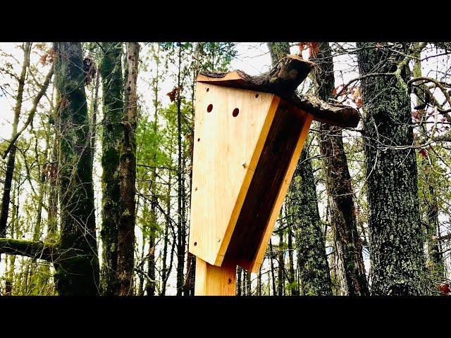 Peterson style bluebird nesting box