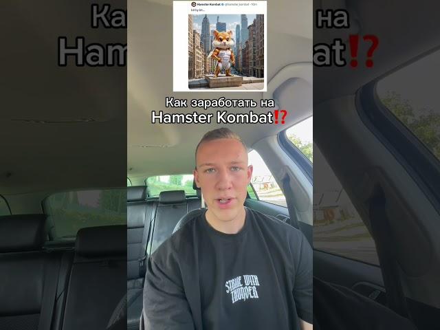 Как заработать на Hamster Kombat