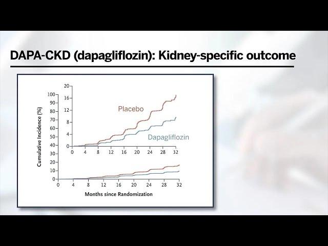 SGLT2 Inhibitors in Chronic Kidney Disease