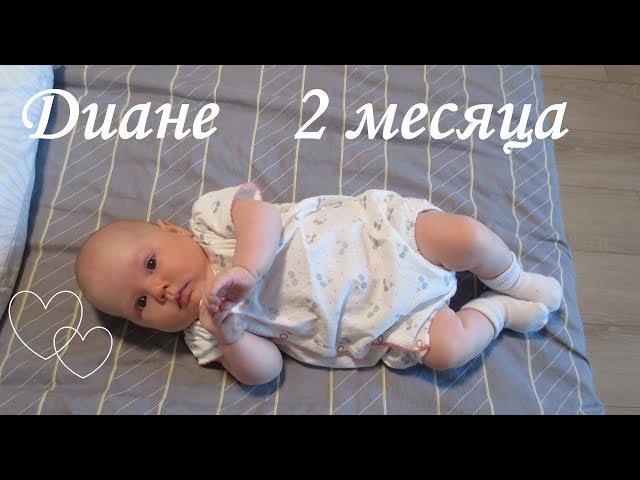 Ребенку 2 месяца. Что мы умеем?