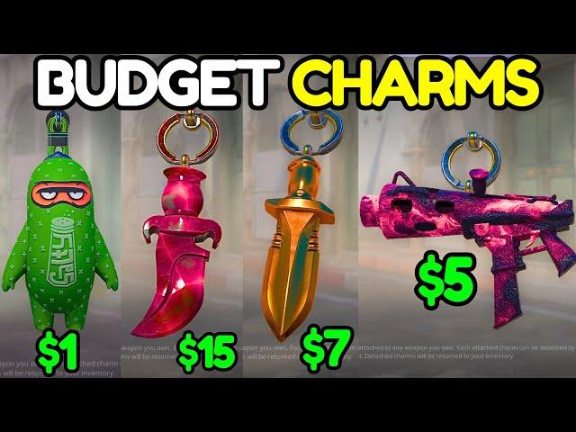 The BEST Budget CHARMS in CS2 (The Armory Update)