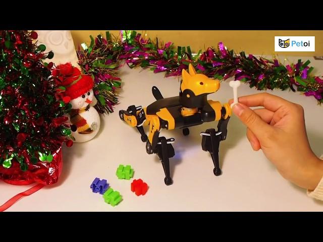 Learn Robotics Coding Easily with Bittle Robot Dog | Petoi Camp