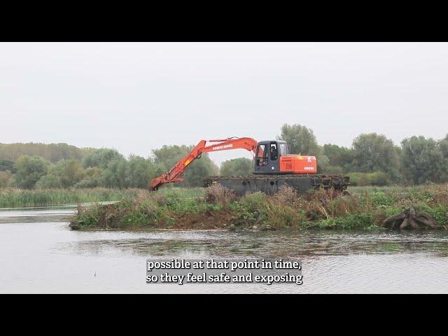 The Amphibious Digger arrives at Titchmarsh Nature Reserve