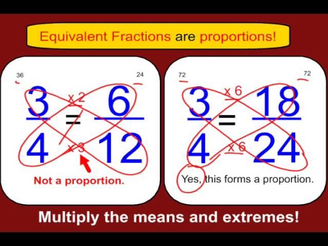 What is a Proportion?
