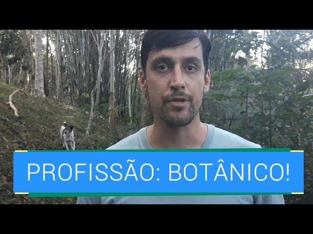 PROFISSÃO: BOTÂNICO! COMO É TRABALHAR COM BOTÂNICA?